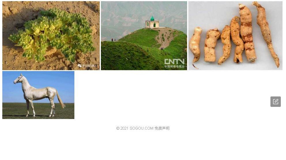 土库曼大戟照片和图片/