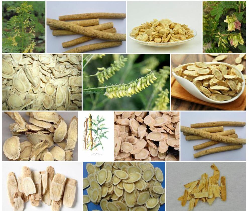 坚硬黄耆照片和图片/