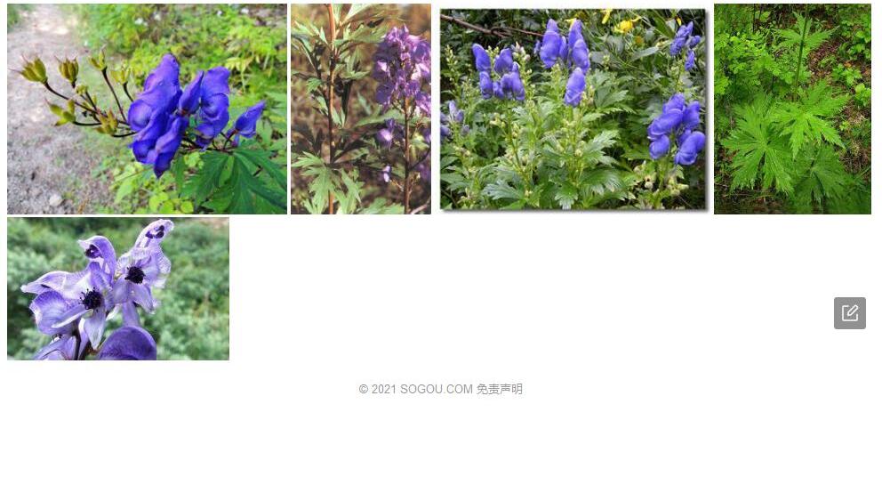 堆拉乌头照片和图片/