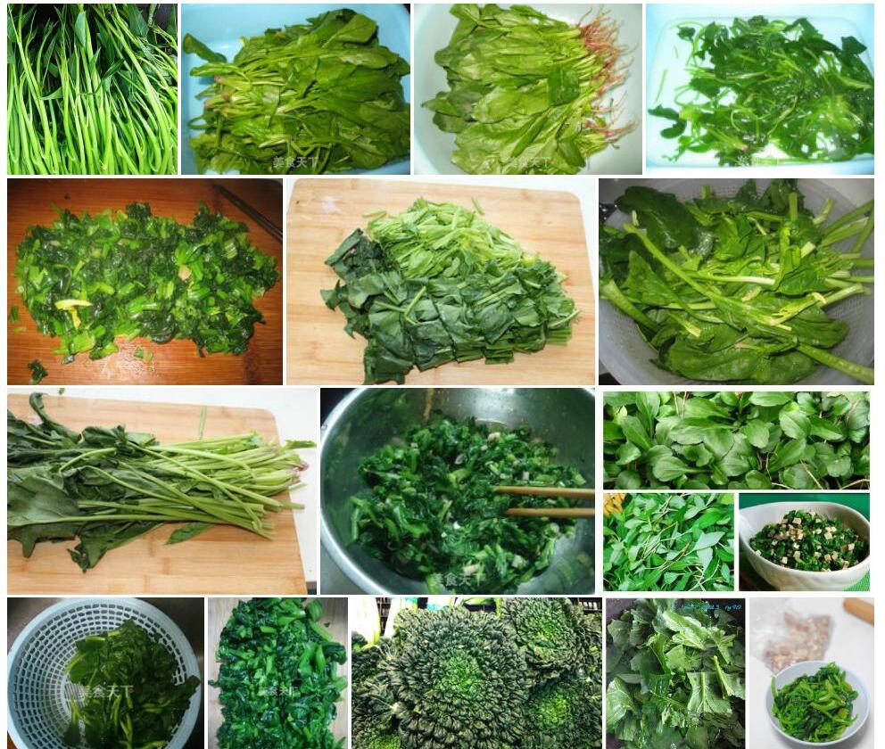 塔花山梗菜照片和图片/