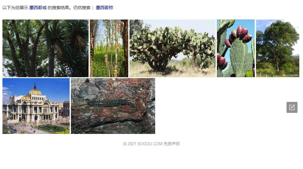 墨西哥梣照片和图片/