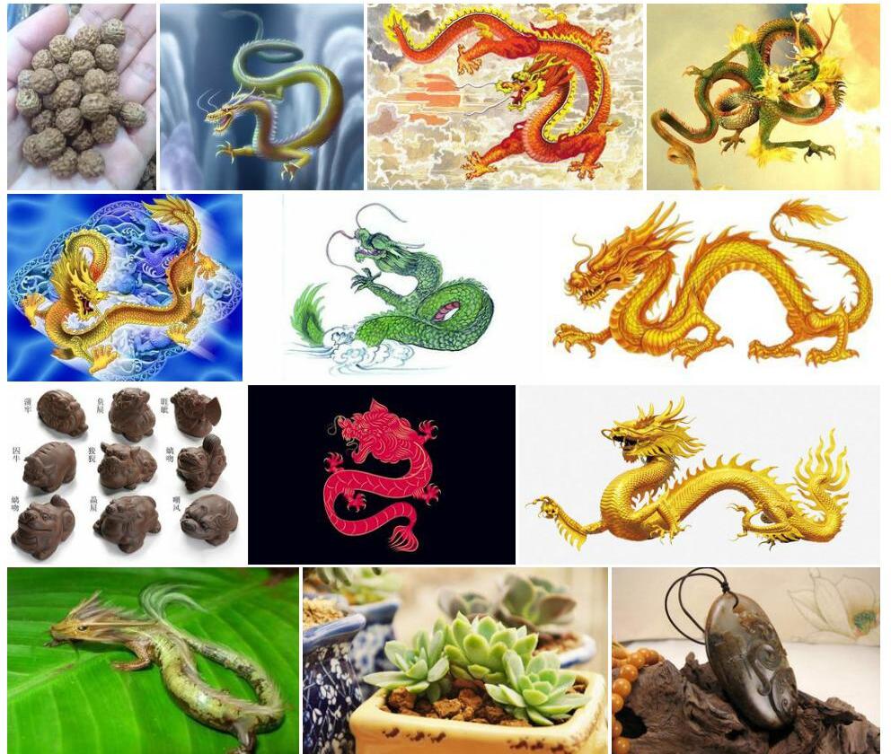 多籽五层龙照片和图片/