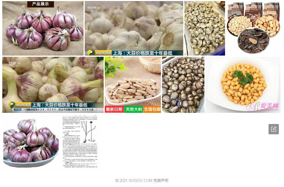 多籽蒜照片和图片/