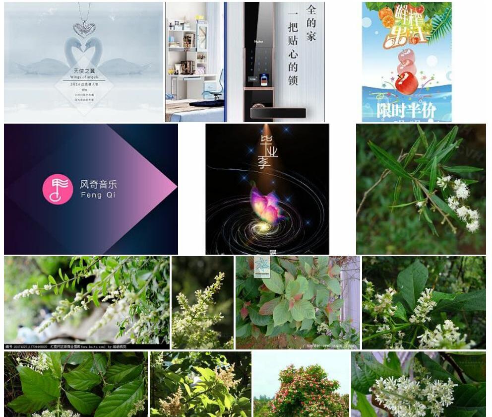 多花水锦树照片和图片/