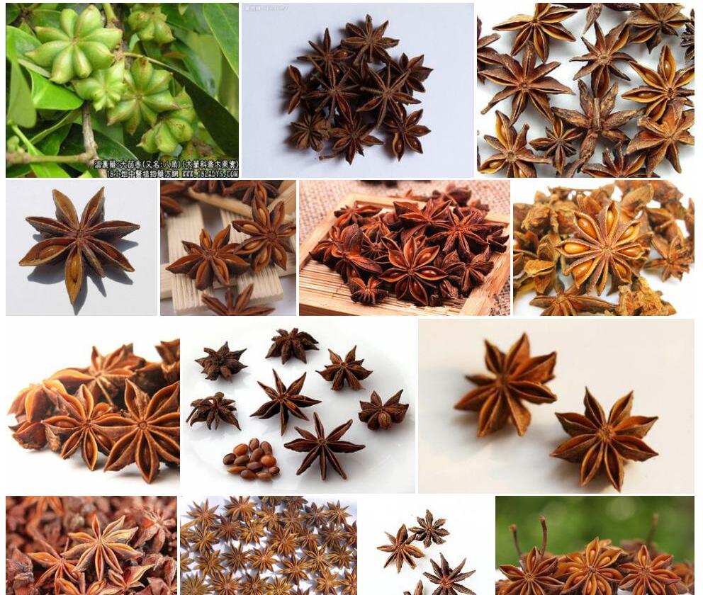 大八角照片和图片/