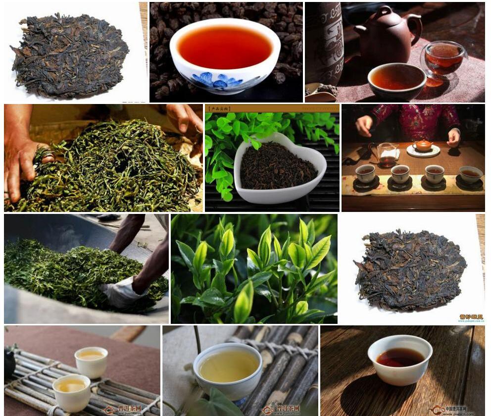 大厂茶照片和图片/