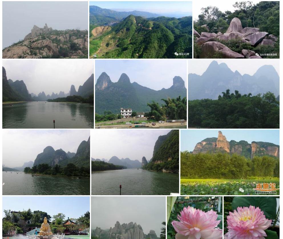 大围山观音座莲照片和图片/