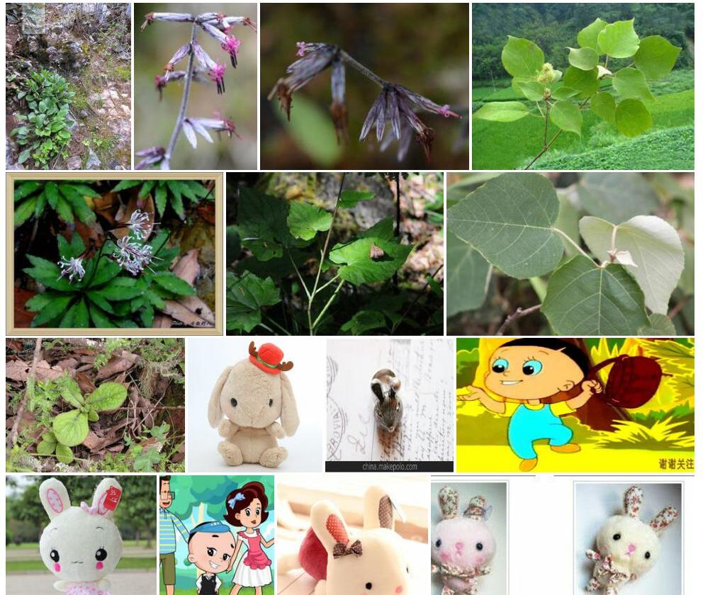 大头兔儿风照片和图片/