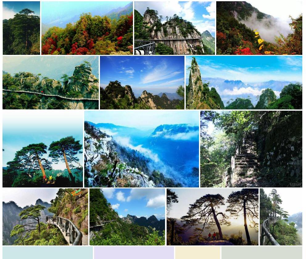 大明山青冈照片和图片/