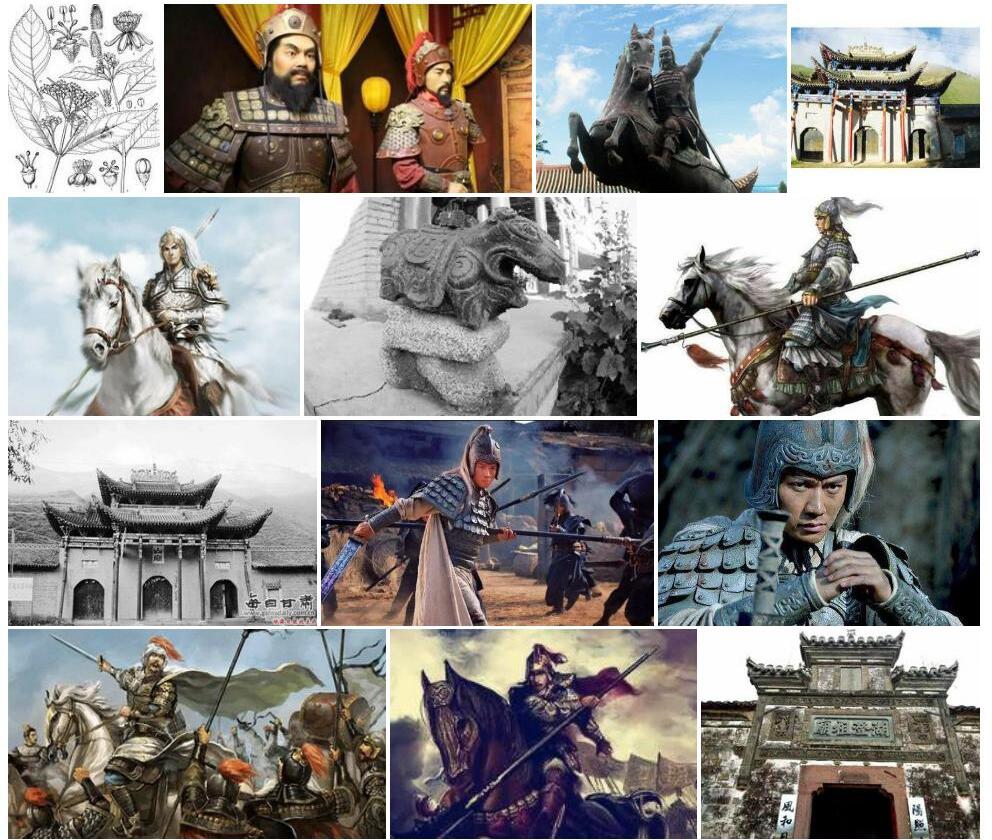 大明常山照片和图片/