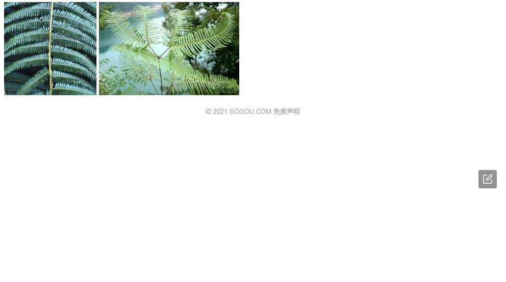 大里白照片和图片/