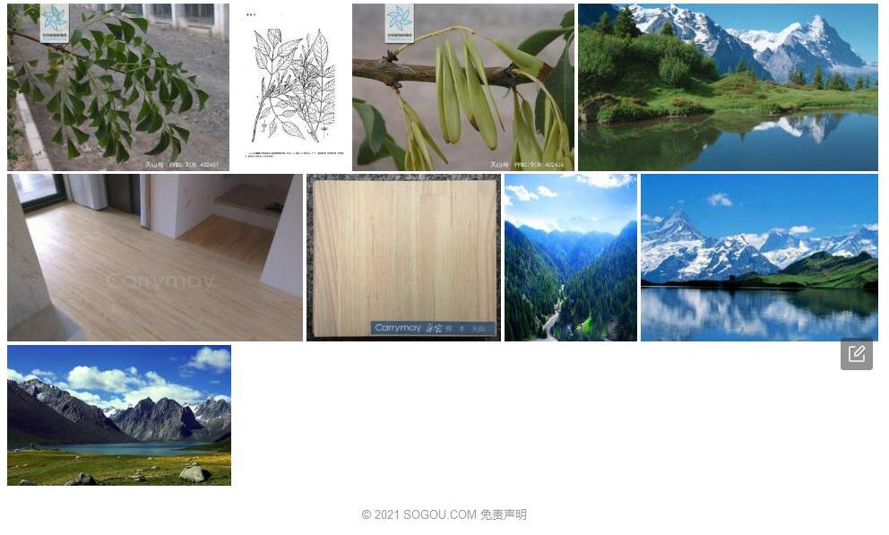 天山梣照片和图片/