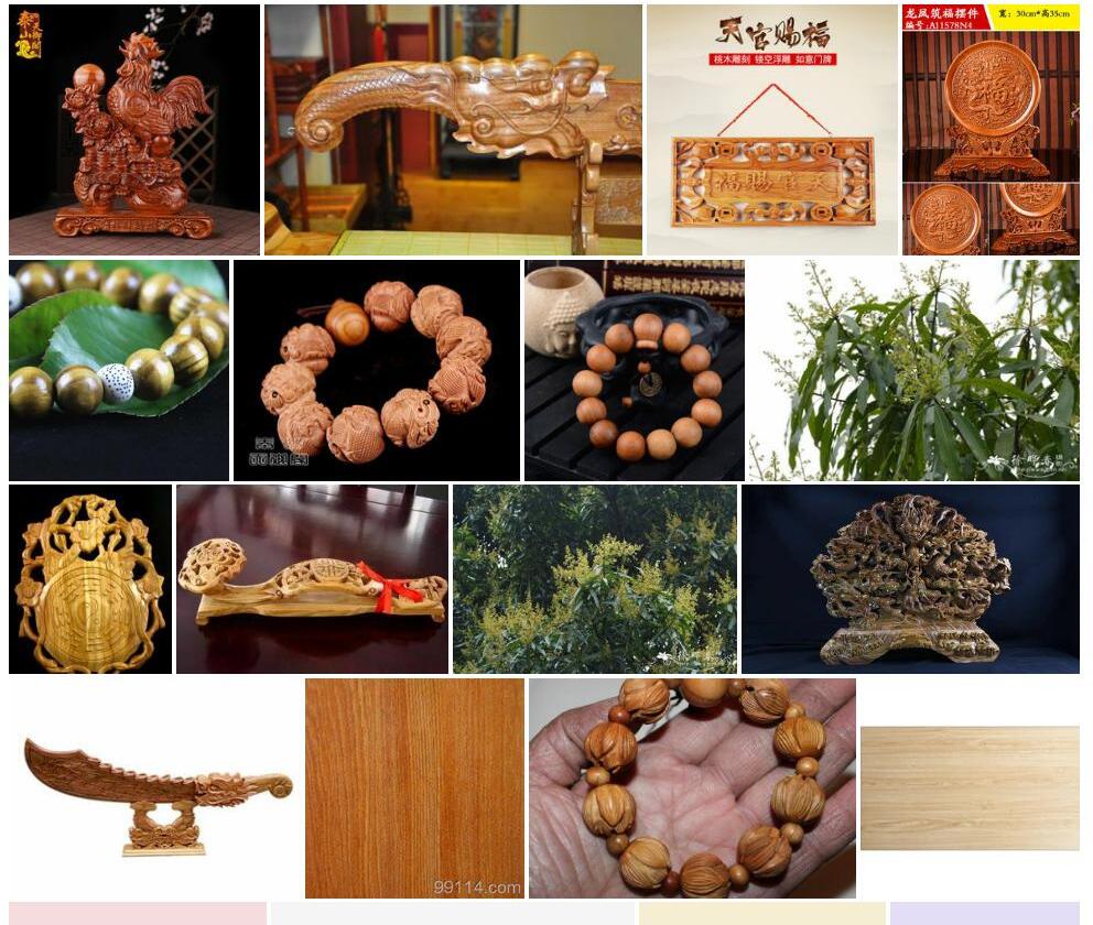 天桃木照片和图片/