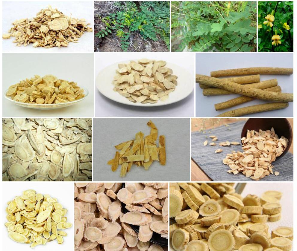 太原黄耆照片和图片/