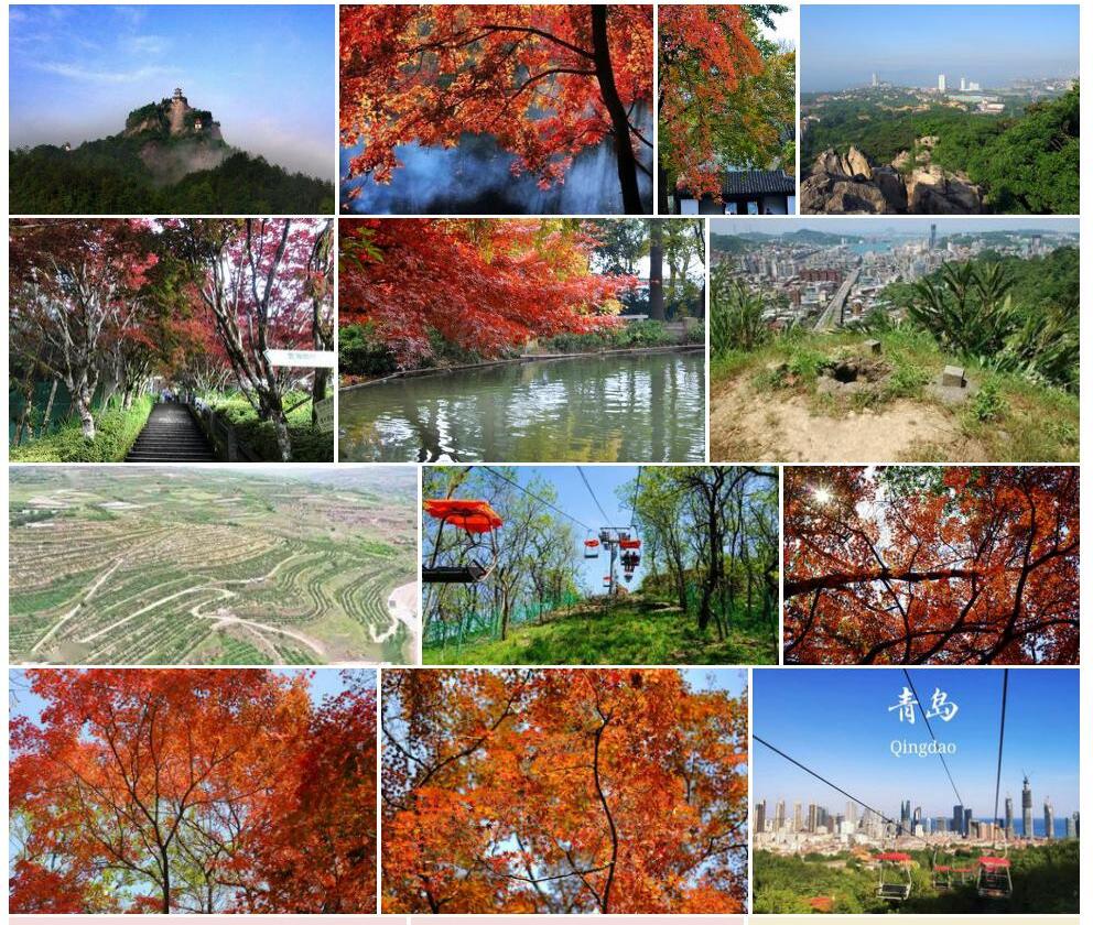 太平山红淡比照片和图片/