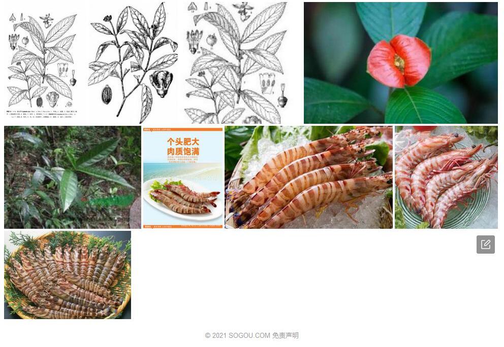 头九节照片和图片/
