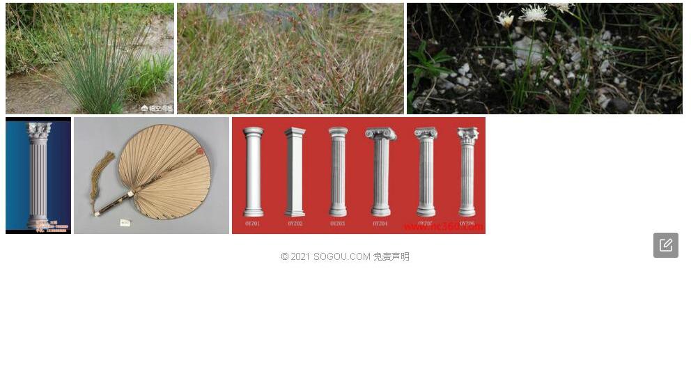 头柱灯心草照片和图片/