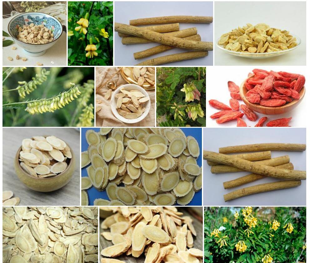奇异黄耆照片和图片/