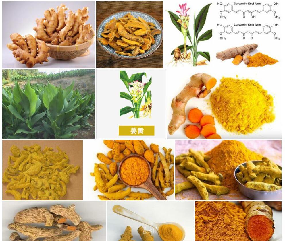 姜黄照片和图片/
