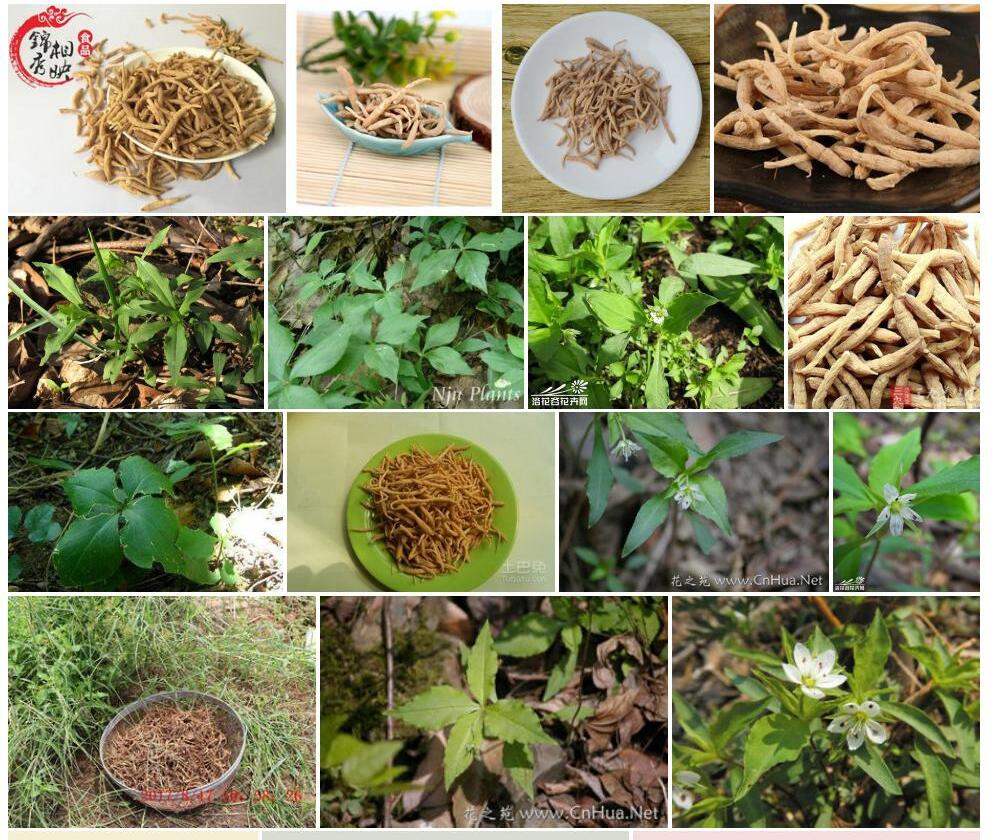 孩儿参照片和图片/