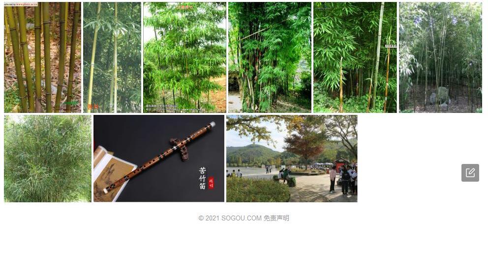 宜兴苦竹照片和图片/