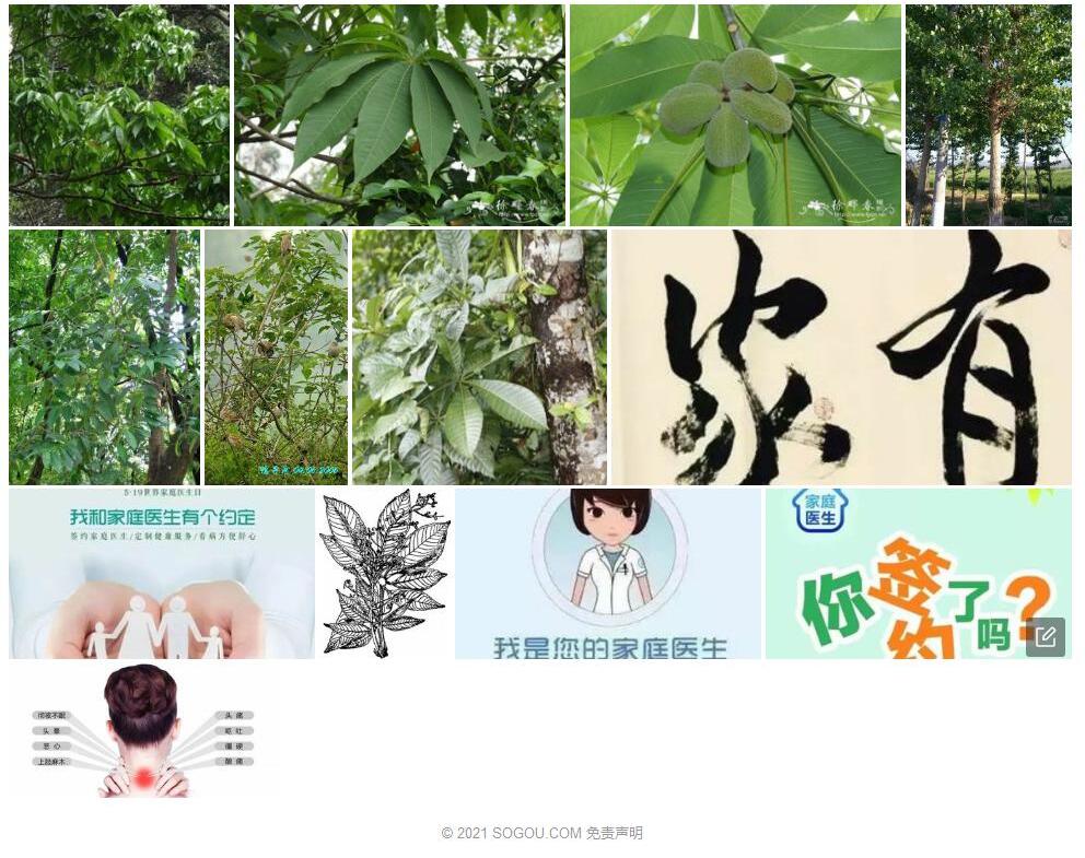 家麻树照片和图片/