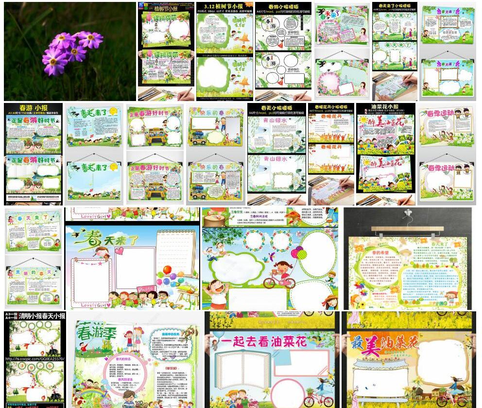 密丛小报春照片和图片/
