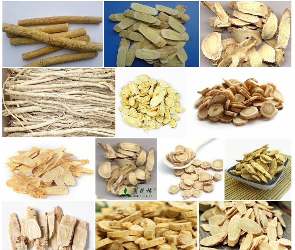 密根黄耆照片和图片/