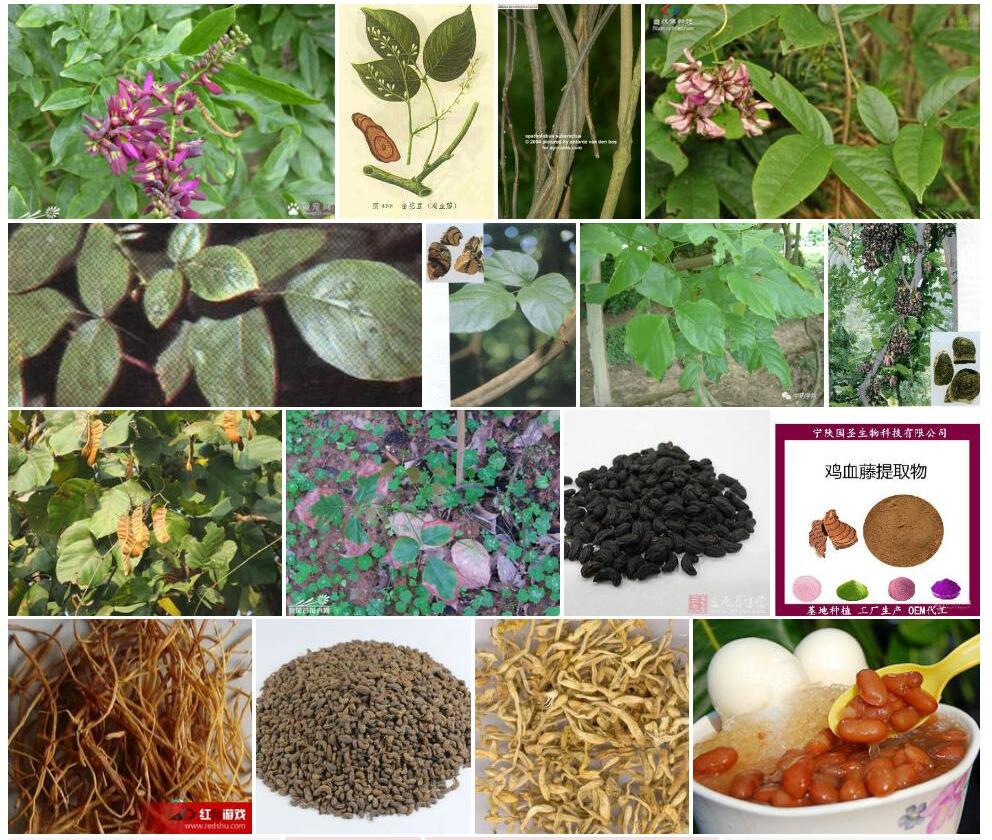 密花豆照片和图片/