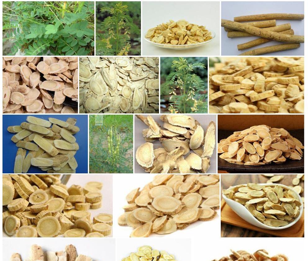 富蕴黄耆照片和图片/