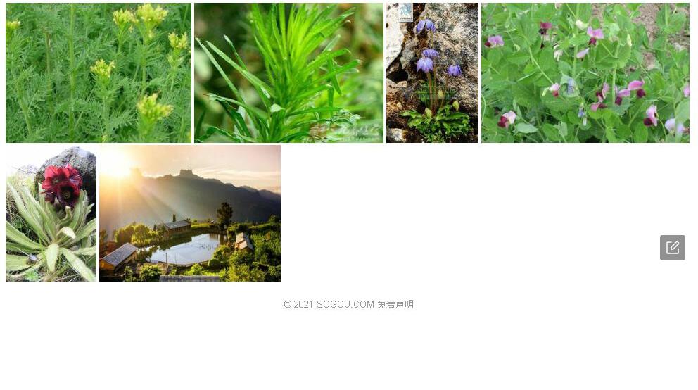 察隅蒿照片和图片/