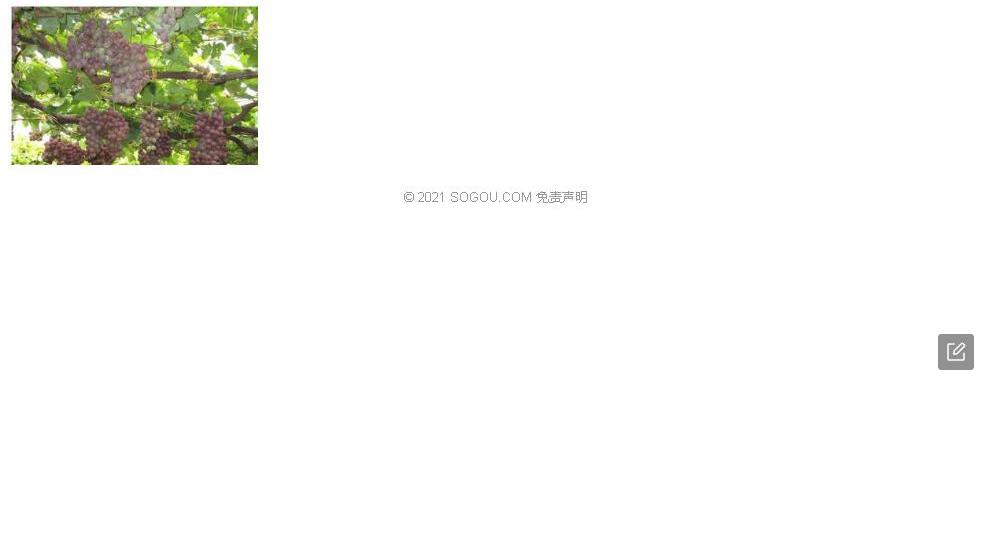 察雅黄耆照片和图片/