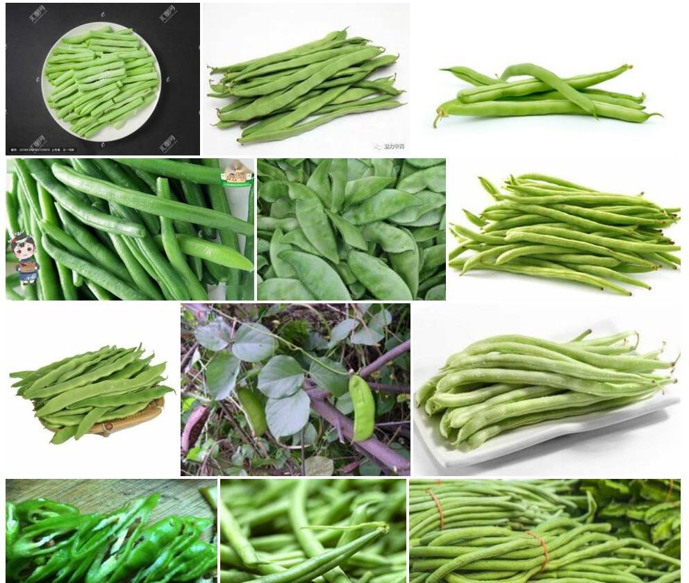 小刀豆照片和图片/