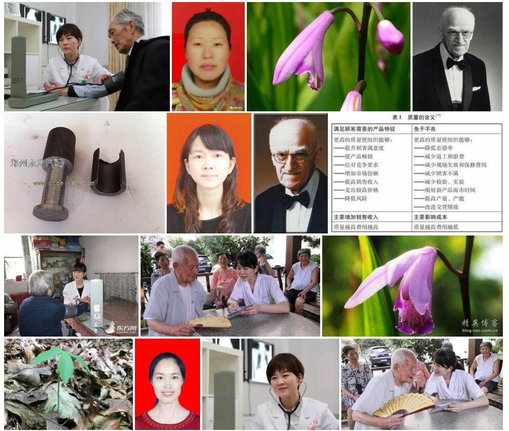 小朱兰照片和图片/