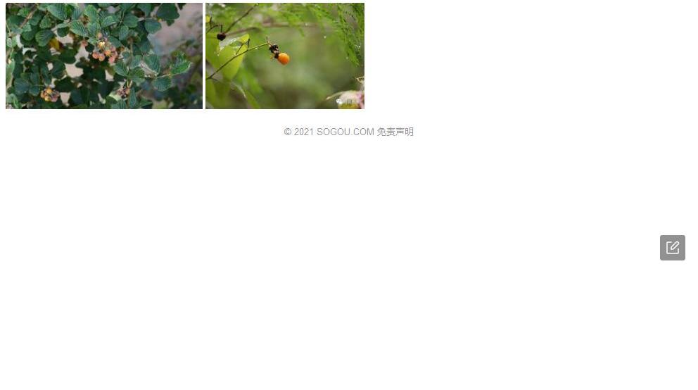 小柱悬钩子照片和图片/