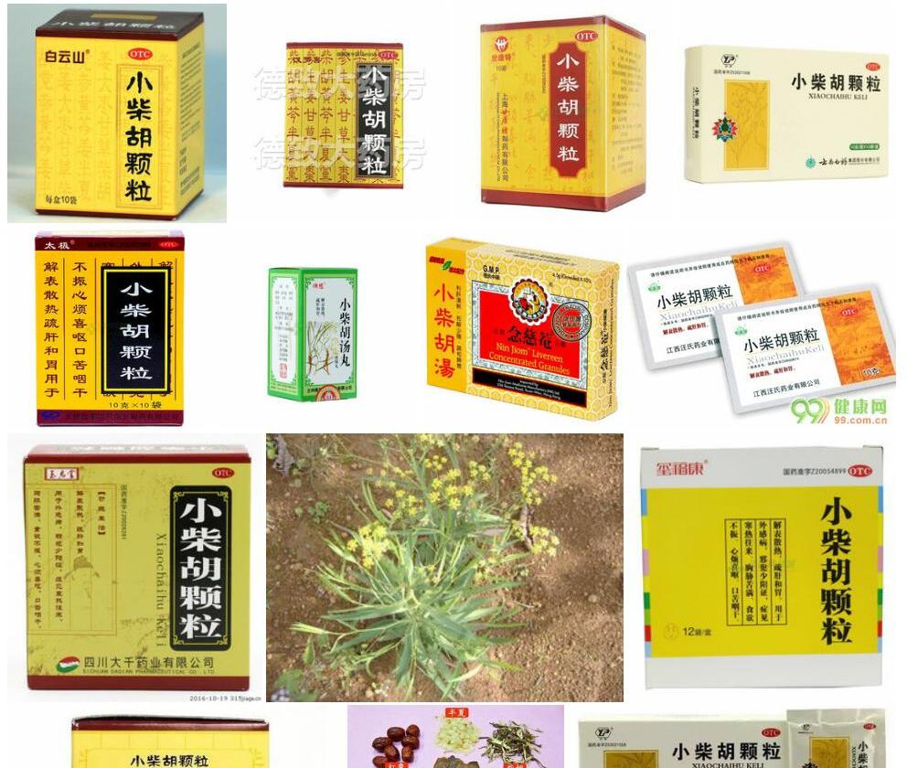 小柴胡照片和图片/