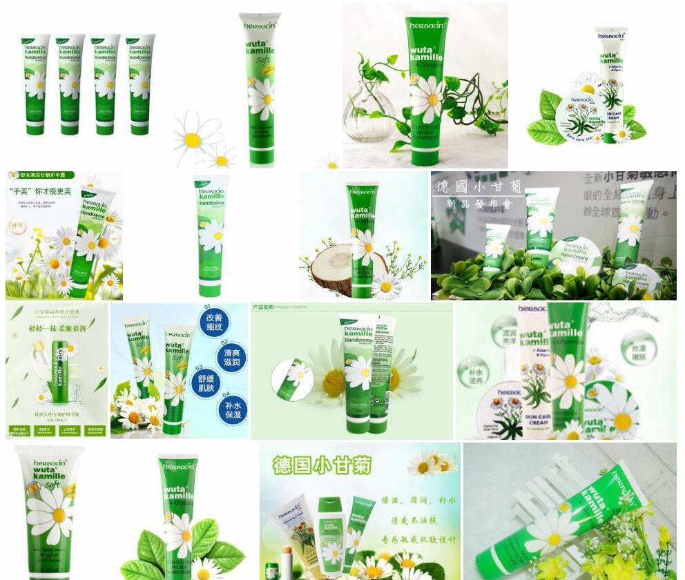 小甘菊照片和图片/