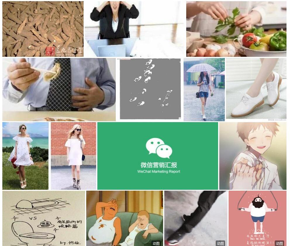 小白撑照片和图片/