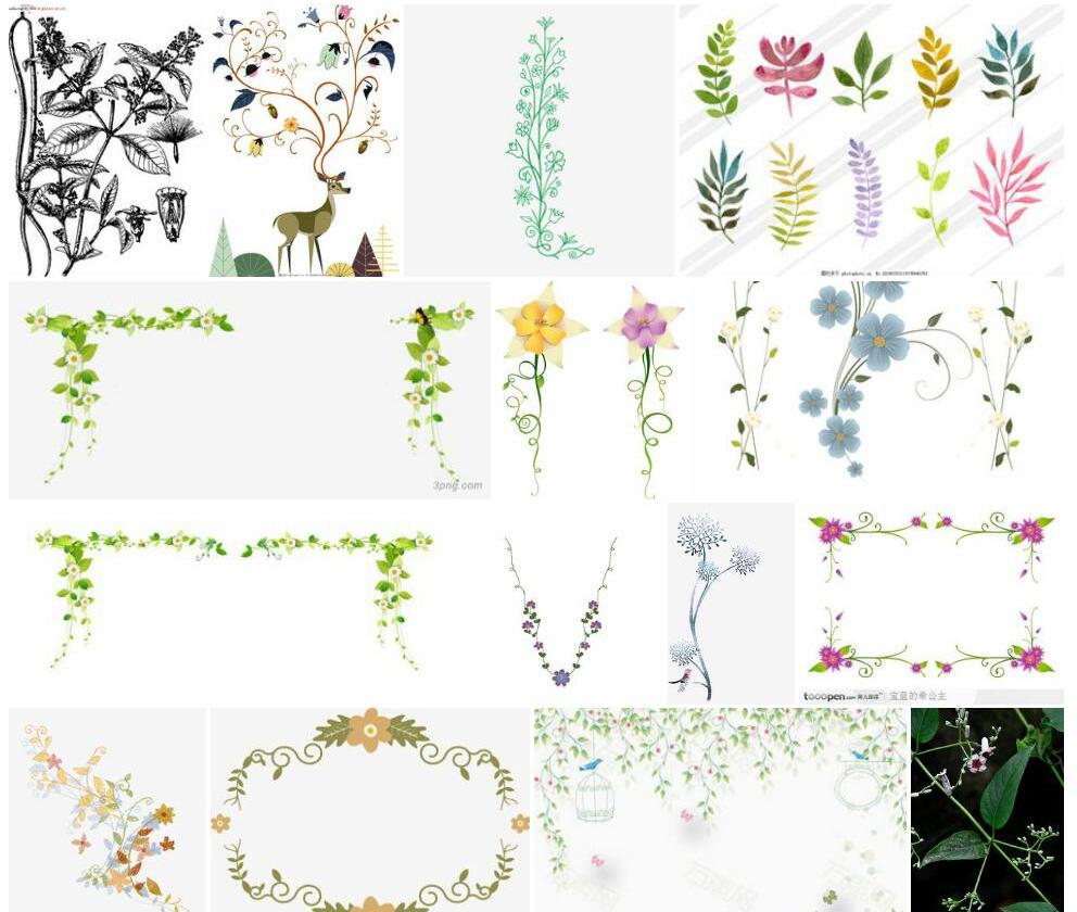 小花藤照片和图片/