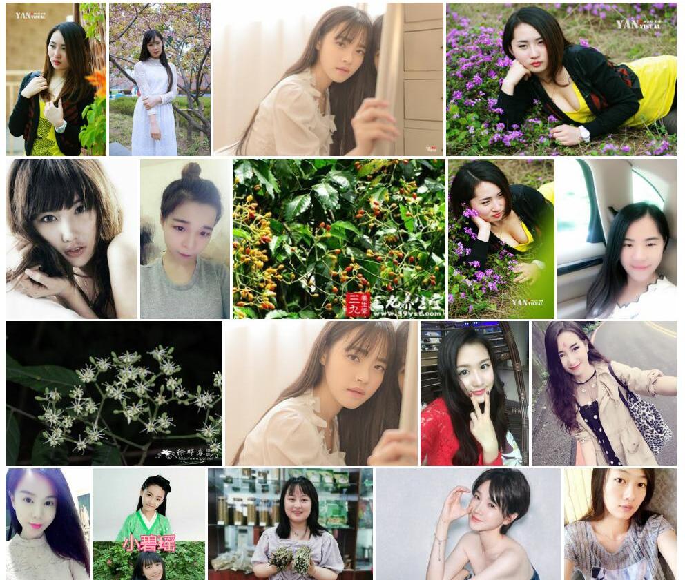 小芸木照片和图片/