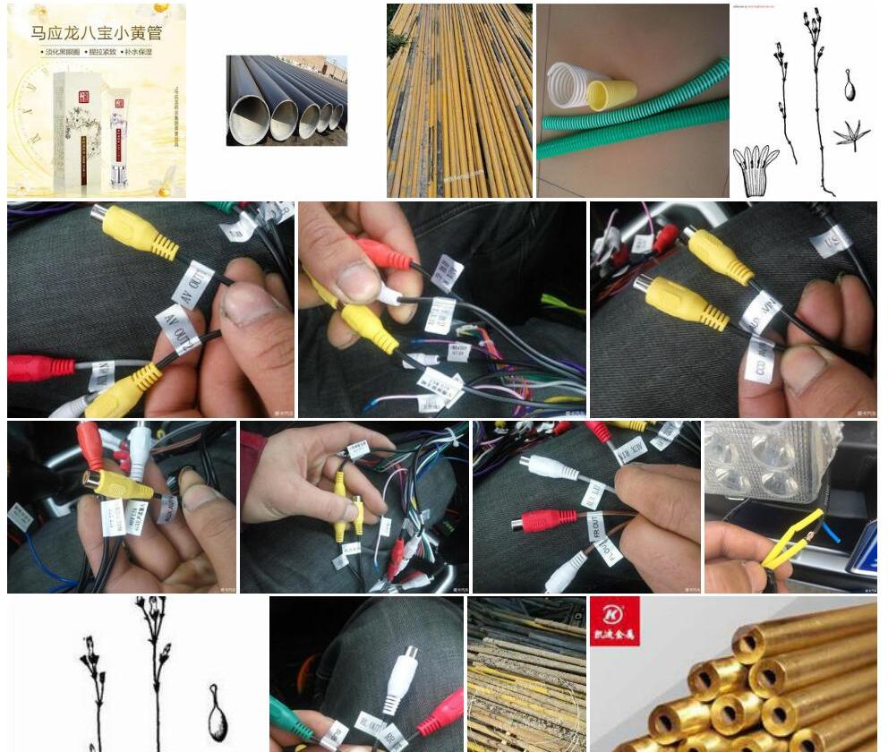小黄管照片和图片/