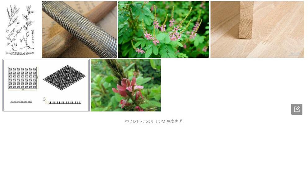 尖齿木蓝照片和图片/