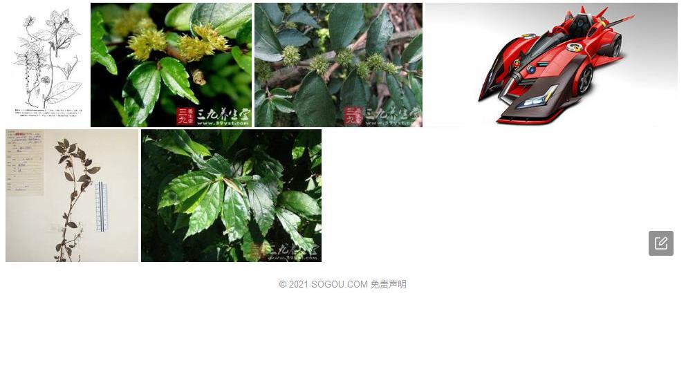 尖齿赤车照片和图片/