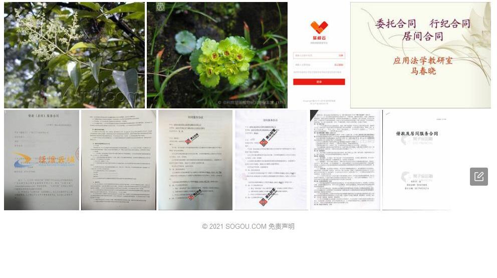 居间金腰照片和图片/