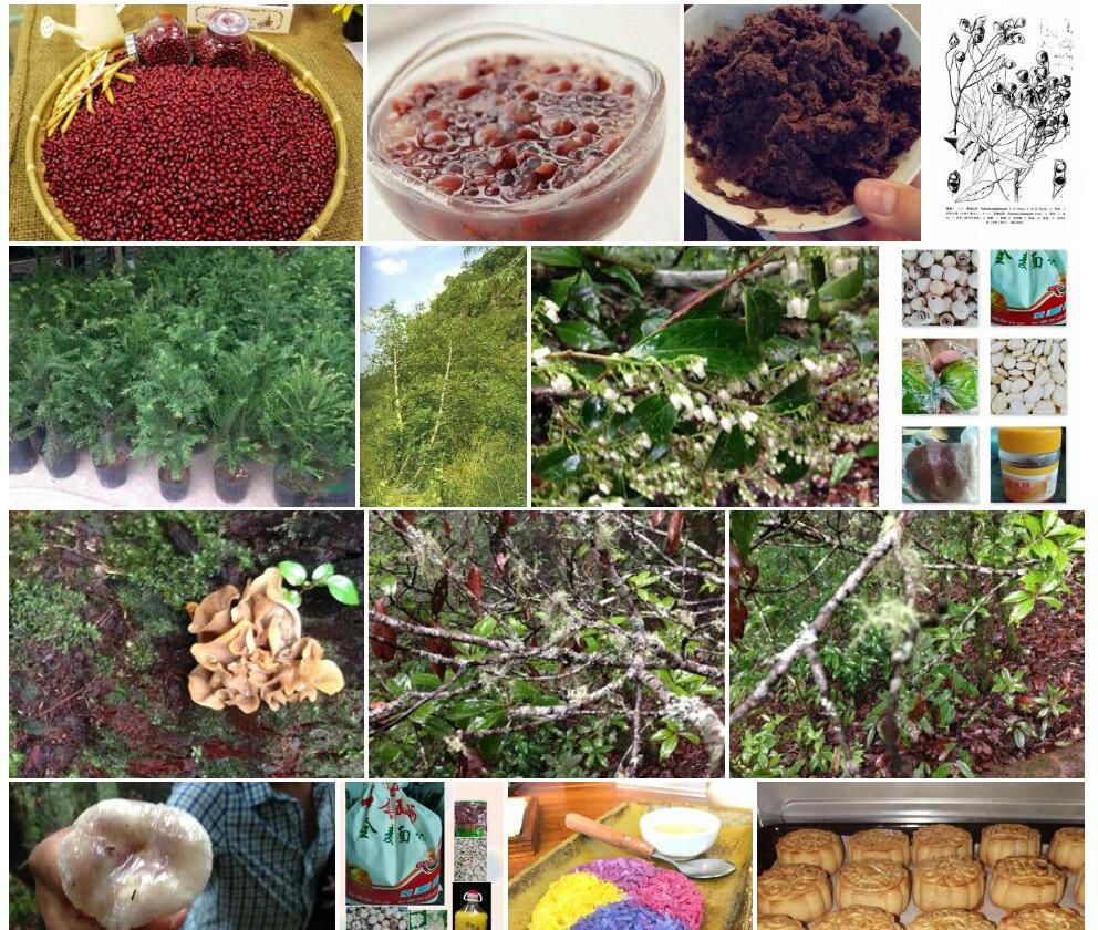 屏边红豆照片和图片/
