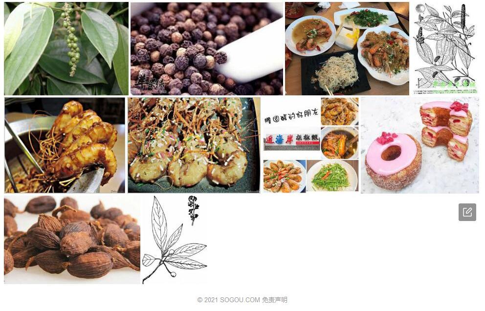 屏边胡椒照片和图片/
