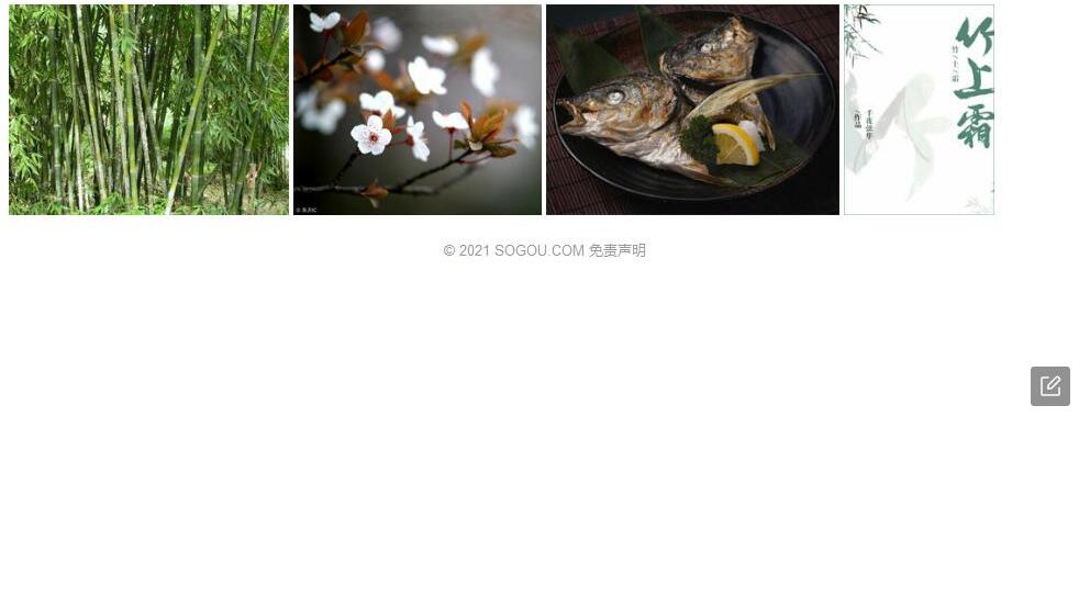 山骨罗竹照片和图片/