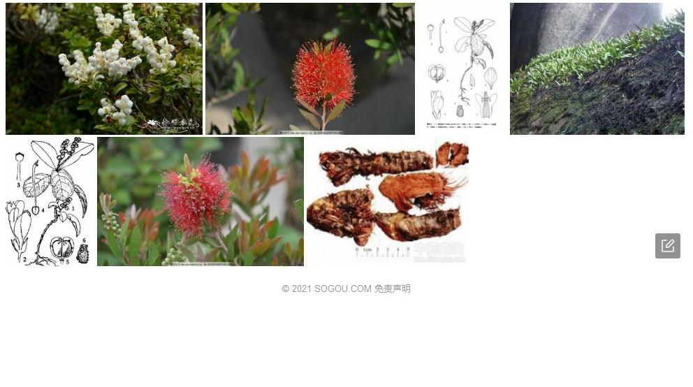 岩生远志照片和图片/
