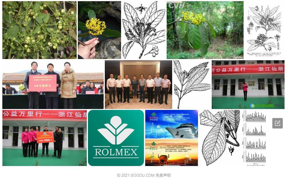 岭罗麦照片和图片/