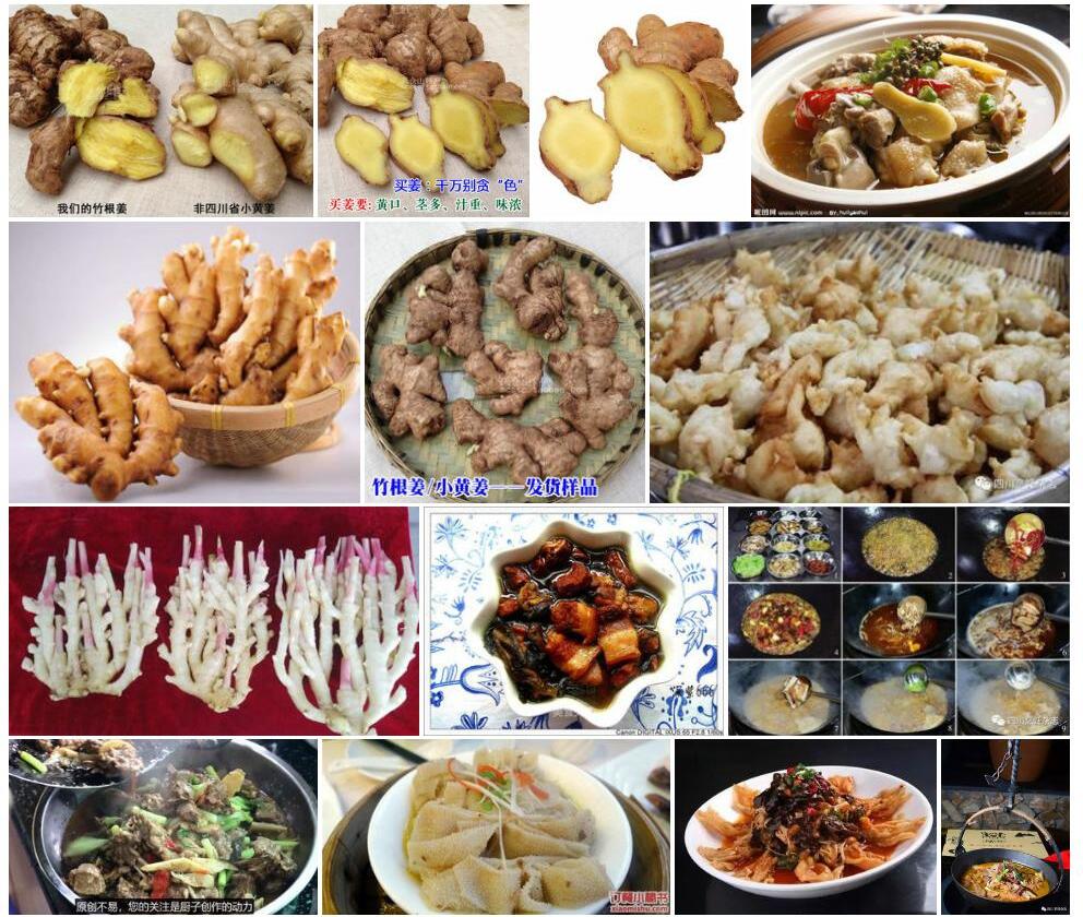川东姜照片和图片/